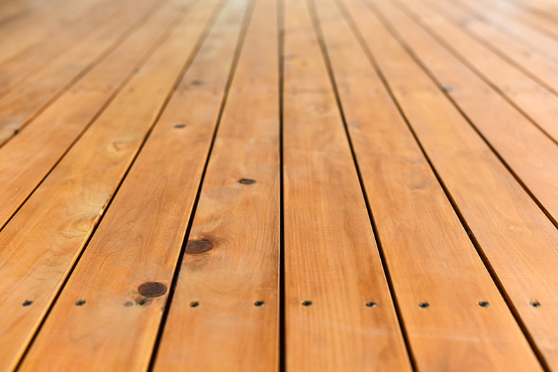 どんぐりの友保育園